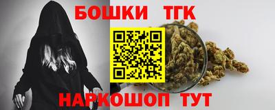 индика Краснознаменск